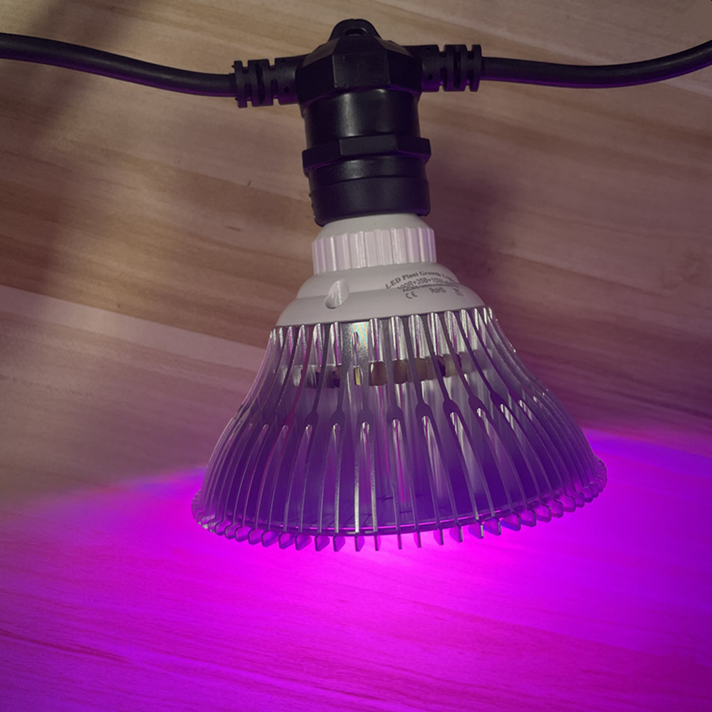 10M Kabel LED, komercyjna jako – Lighting Decoration Ideas recenzja i cena